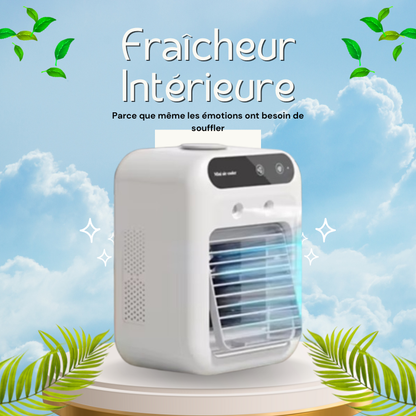 MINI CLIMATISEUR❄